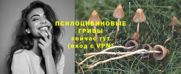 spice Семёнов